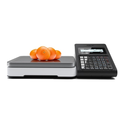 Kasa fiskalna REVO Online-100142